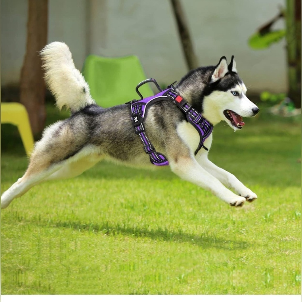 PoyPet No Pull Dog Harness, Reflective Vest Harness light 💡